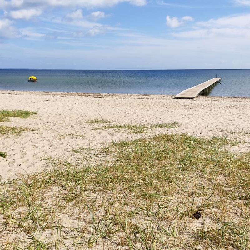 Vejlby Fed (DK)